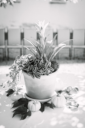 326-Taoyi-Christoph-hochzeit-0769-bw