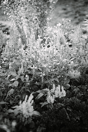 456-Taoyi-Christoph-hochzeit-1645-bw
