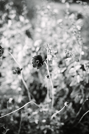 472-Taoyi-Christoph-hochzeit-1646-bw