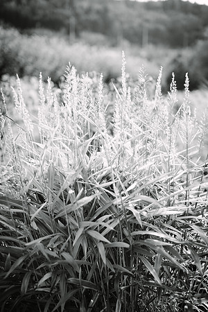 465-Taoyi-Christoph-hochzeit-1644-bw